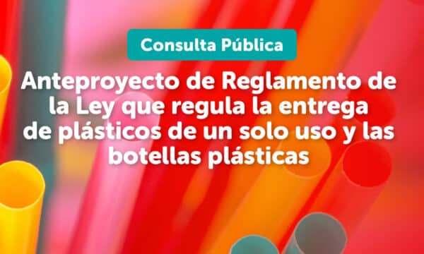 Ministerio del Medio Ambiente inicia proceso de Consulta Pública del Anteproyecto del Reglamento de la Ley de Plásticos de un Solo Uso